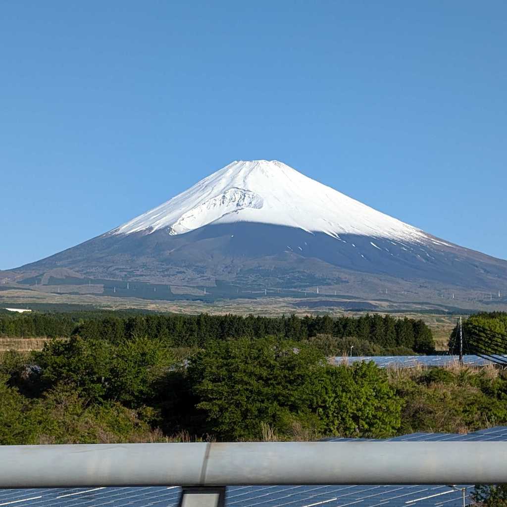 学部生