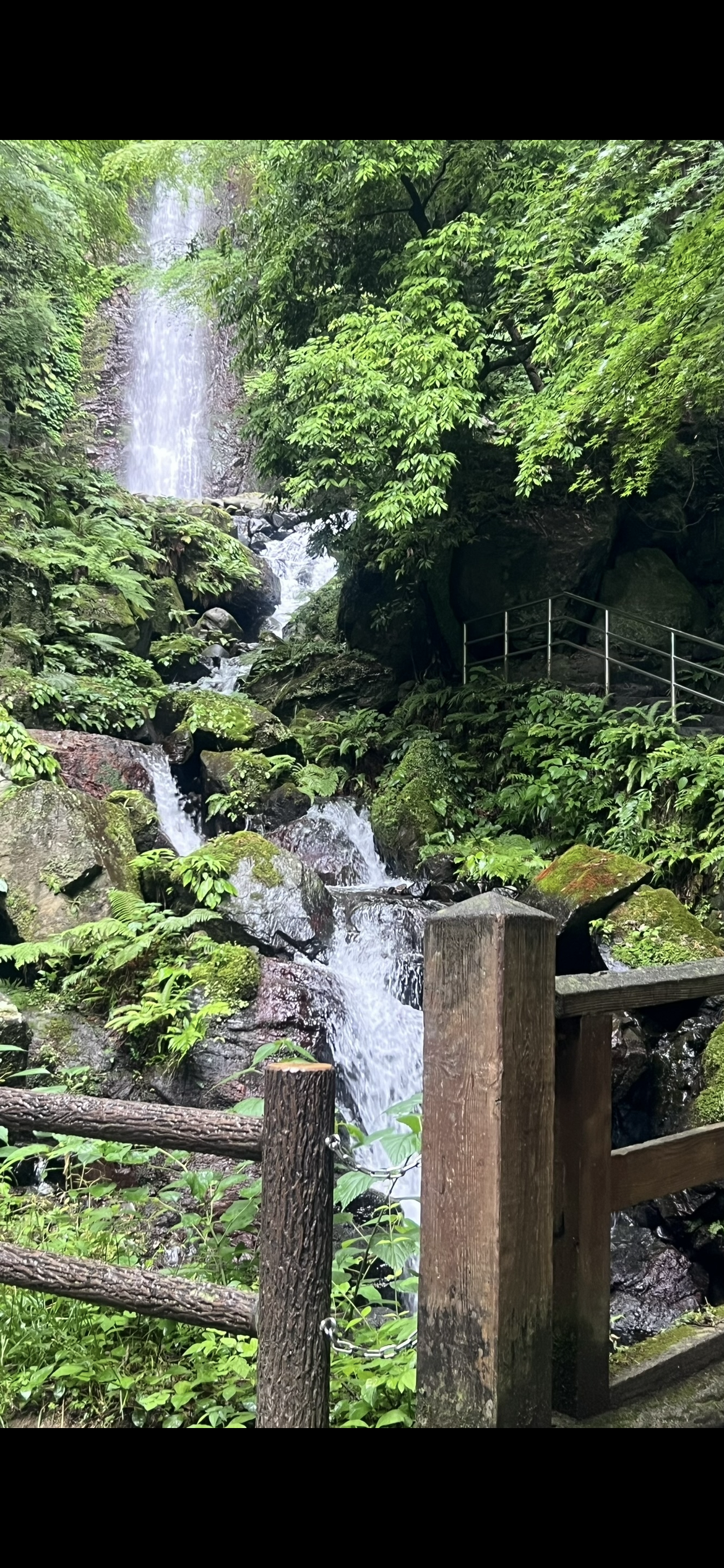 学部生